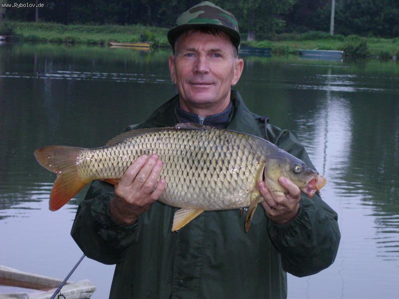 --���� �� ����� - ������� (����������)