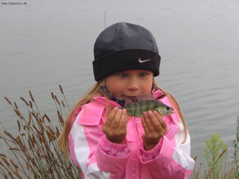 --�������� - ������� (����������)