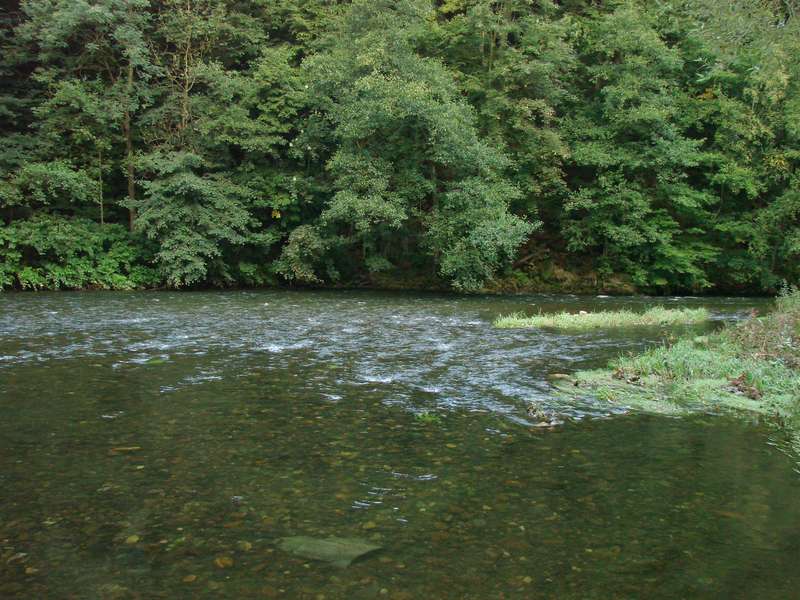 --���� �� ��������� ����� - ������� (����������)