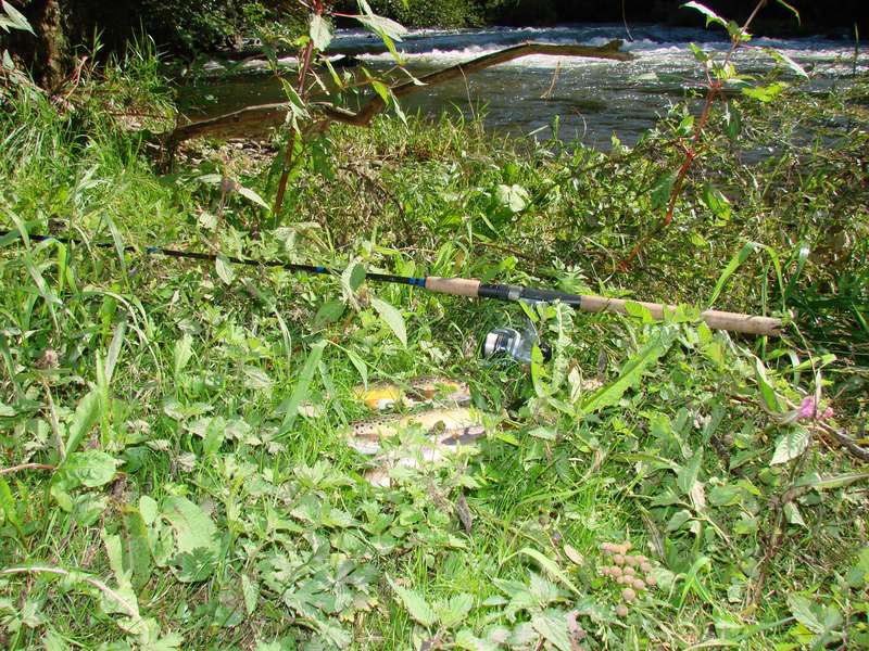 --���� �� ��������� ����� - ������� (����������)