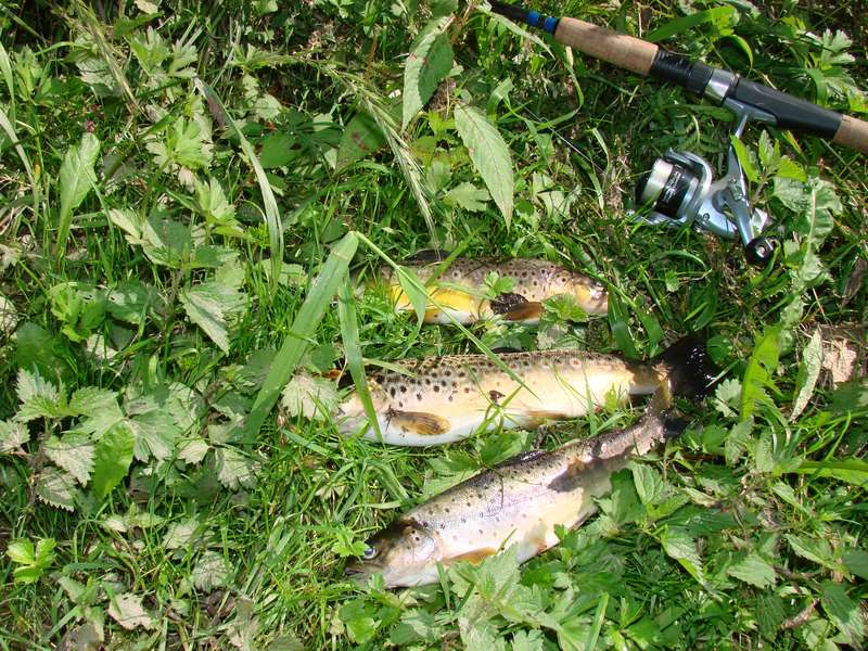 --���� �� ��������� ����� - ������� (����������)