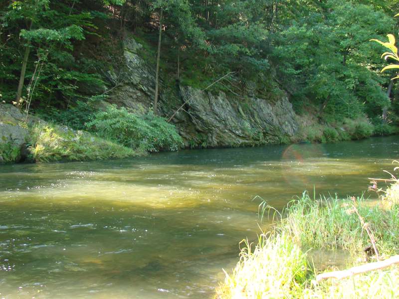 --���� �� ��������� ����� - ������� (����������)