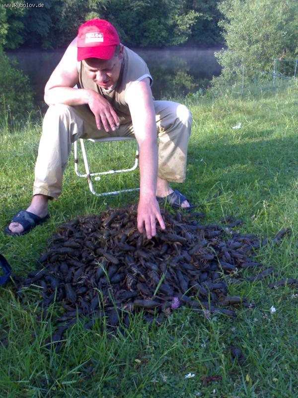 --����!!! - ������� (����������)