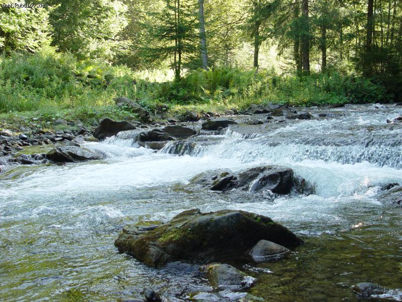 --����� � �������� - ������� (����������)