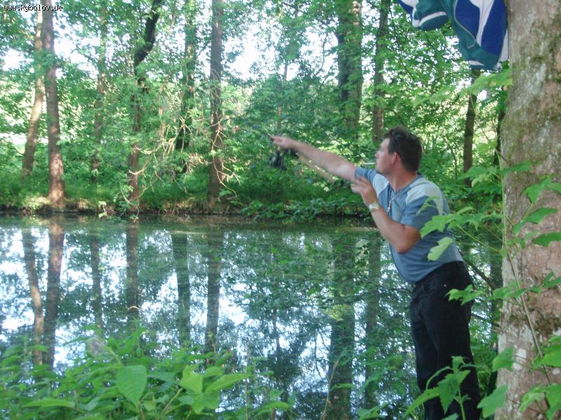 --���� ������ - ������� (����������)