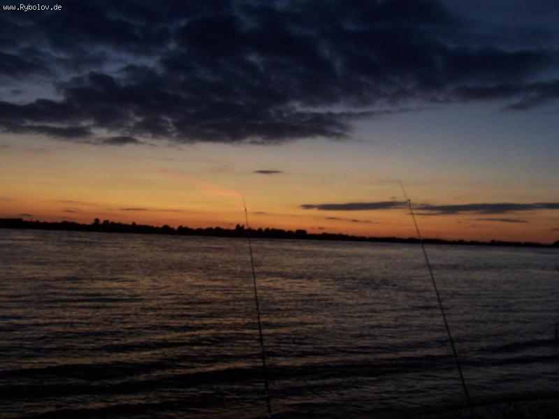 --����� ������ �� ����� - ������� (����������)