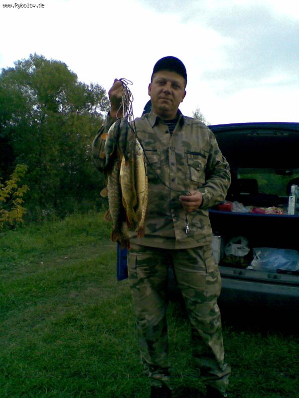 --������� - ������� (����������)