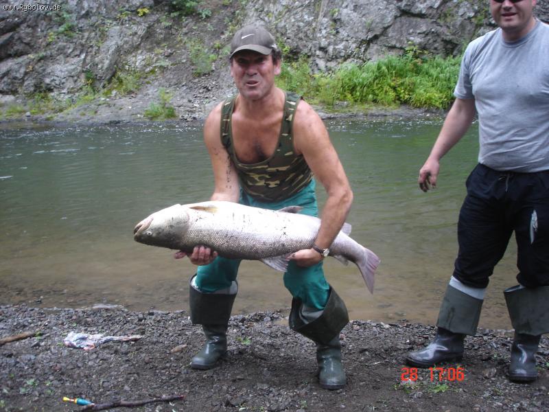 --�������� �������� �������� ������� ���� �� 15-17 (����� � ����� �� ����) - ������� (����������)