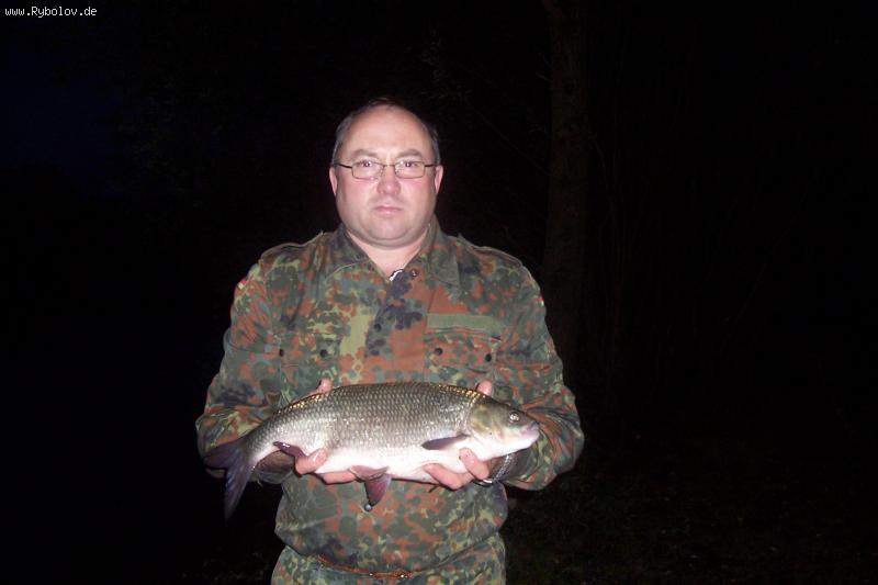 --��� ***** - ������� (����������)