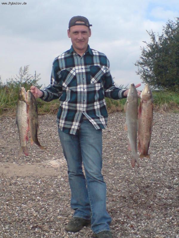 --4 x Barbe - ������� (����������)