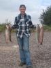 4 x Barbe -  ()