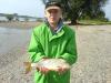 Rotauge 43  -  ()