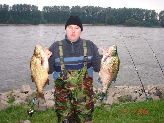 --Rhein    -  ()