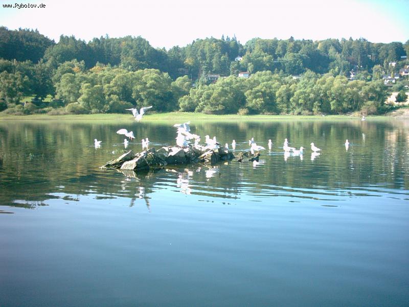 --���������� ��������� � �������! - ������� (����������)