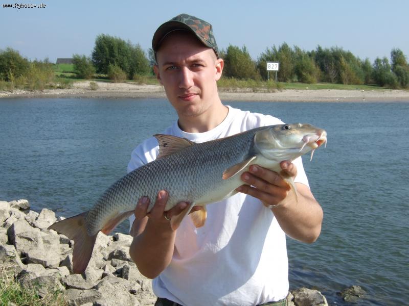 --������ 62�� 2,7�� - ������� (����������)