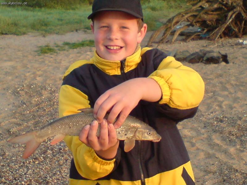 --Barbe, Rhein - ������� (����������)