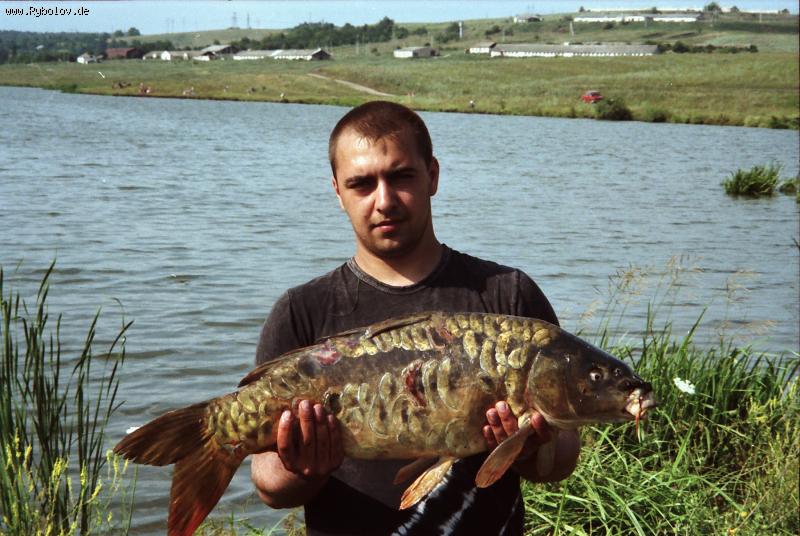 --��� � ����� ������ - ������� (����������)