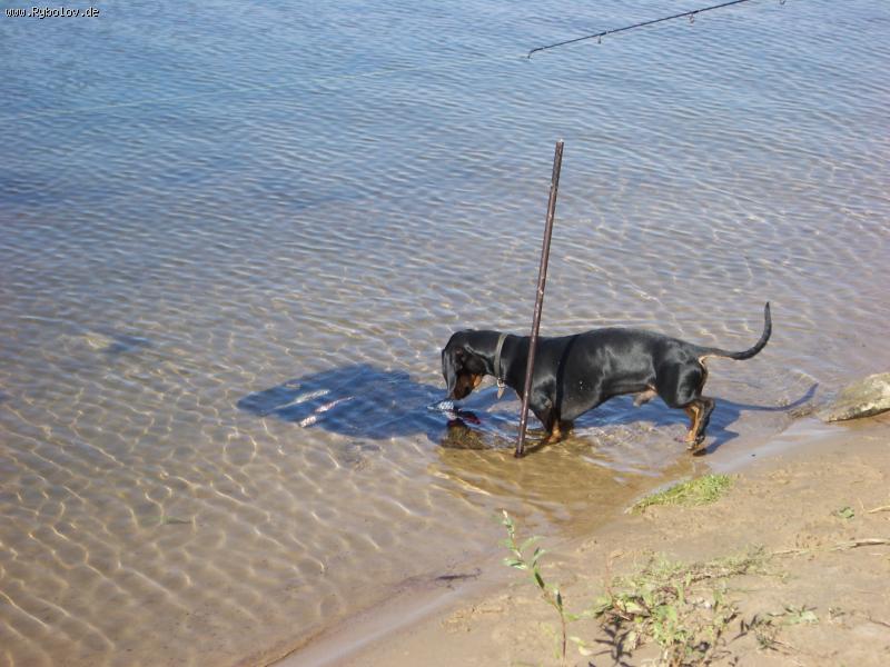 --���� �������� - ������� (����������)