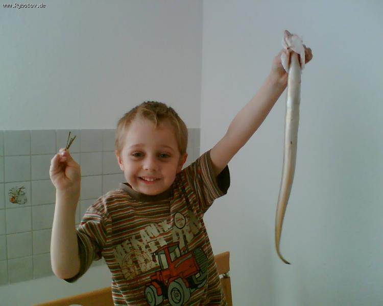 --��� ������ ���� - ������� (����������)