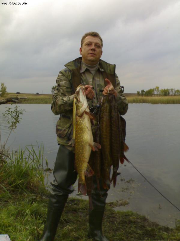 --���� - ������� (����������)