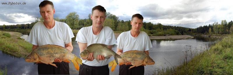 --��������� ����. - ������� (����������)