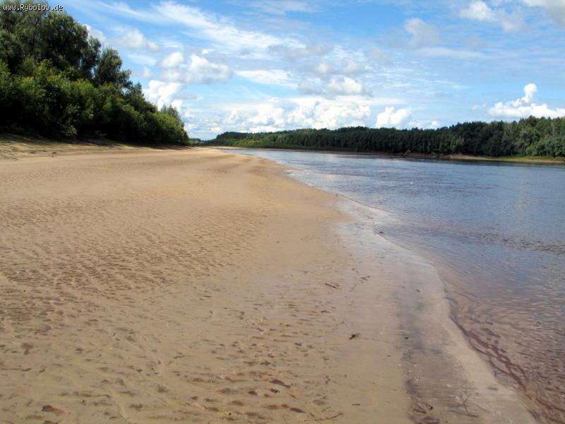 --��������� ��������! - ������� (����������)