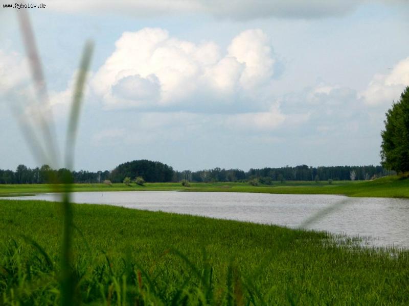 --��������� �����! - ������� (����������)