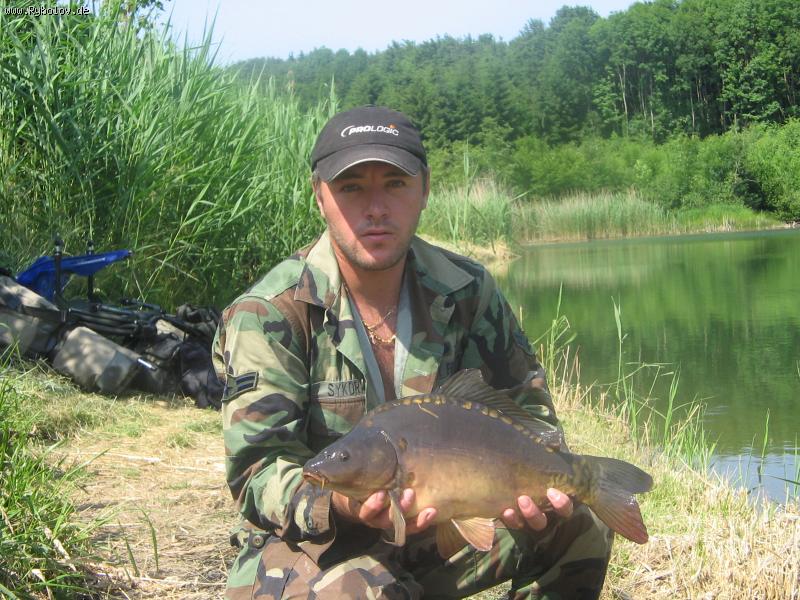 --������  �� �������. - ������� (����������)