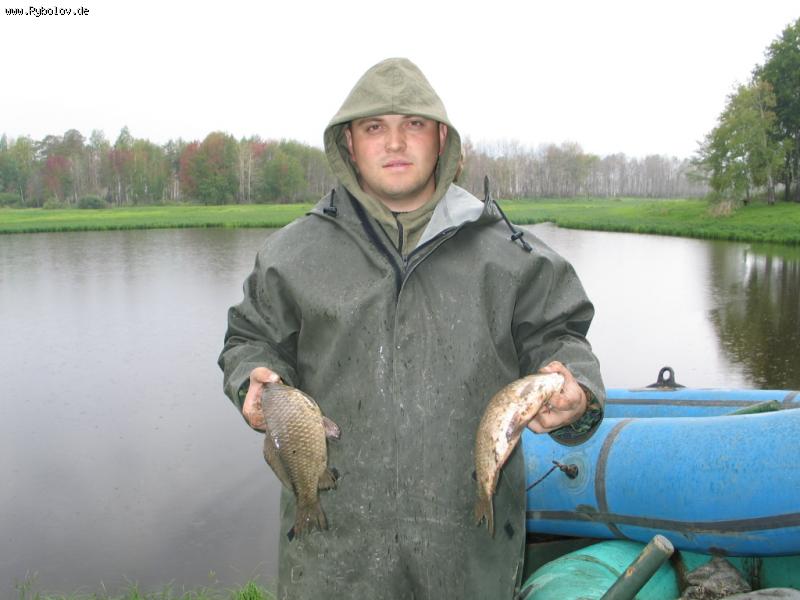 --��������� ��������! - ������� (����������)