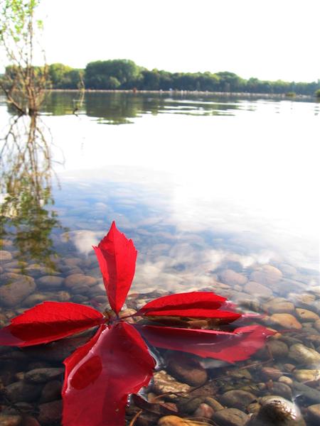 --�������� �� ����. - ������� (����������)