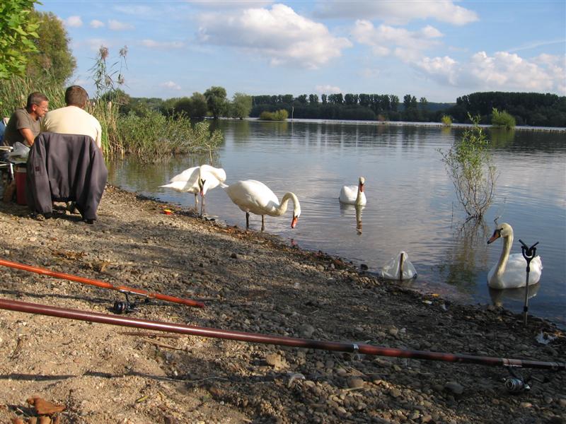 --�� ����������. - ������� (����������)