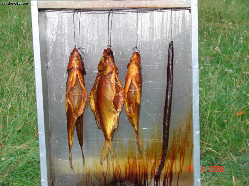 --�������� ��� ���� - ������� (����������)