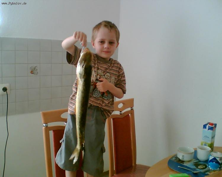 --hecht - ������� (����������)