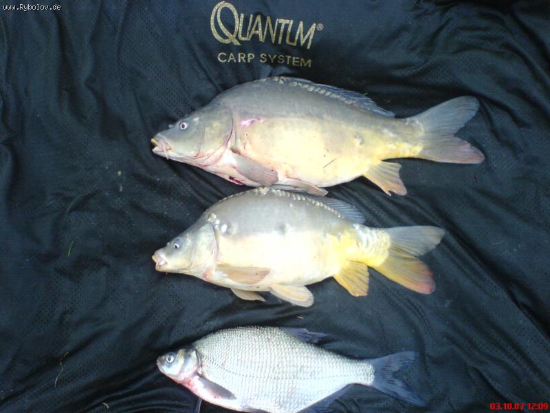 --1,2,3 - ������� (����������)