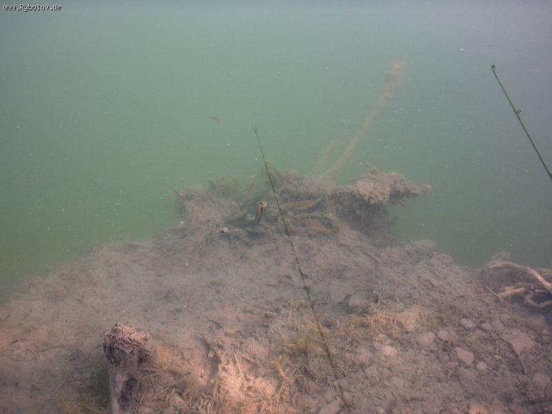 --����������.... - ������� (����������)