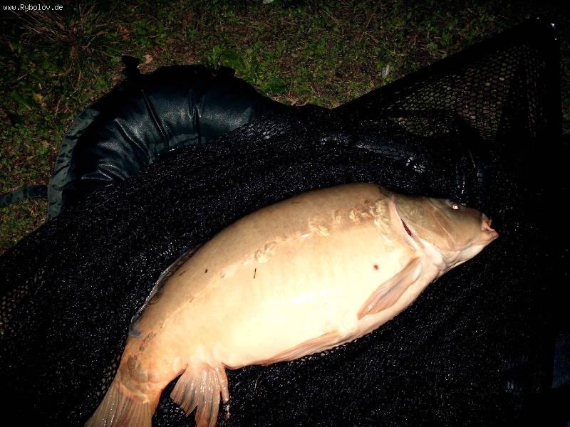 --���������... - ������� (����������)