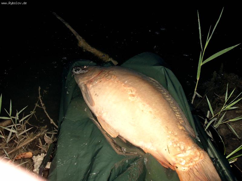 --������ ����� - ������� (����������)