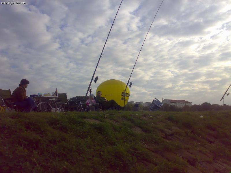 --Отдых на Эльбе!!! - рыбалка (фотоальбом)