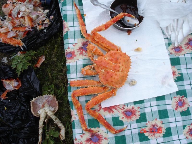 --���������� ������! - ������� (����������)