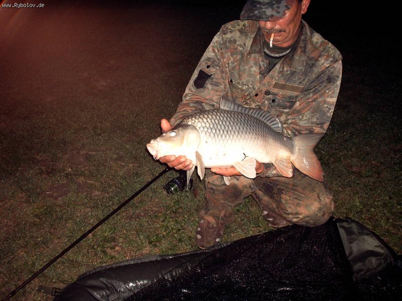 -- Serebreinnii -  ()