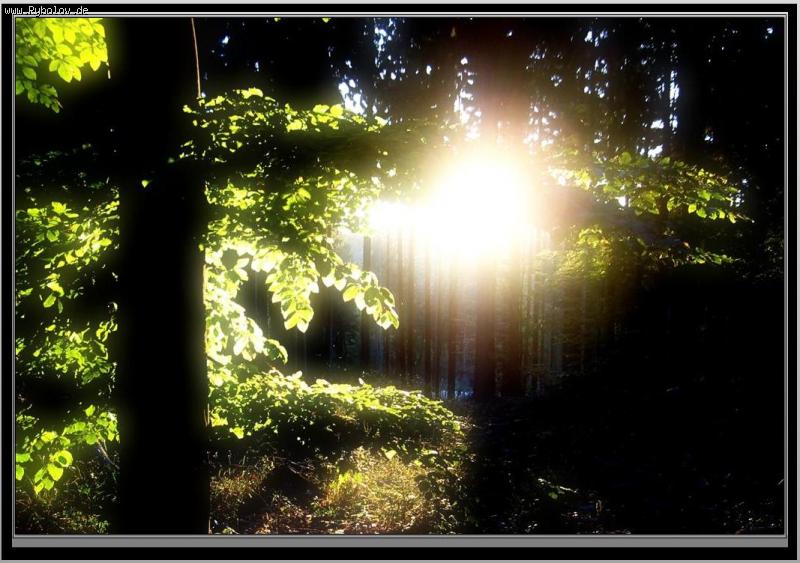 --���� �  ����. - ������� (����������)