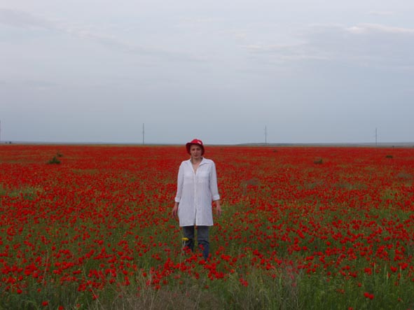 --������� ���� - ������� (����������)