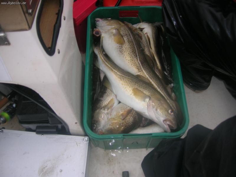 --���� �� ����  ����� - ������� (����������)