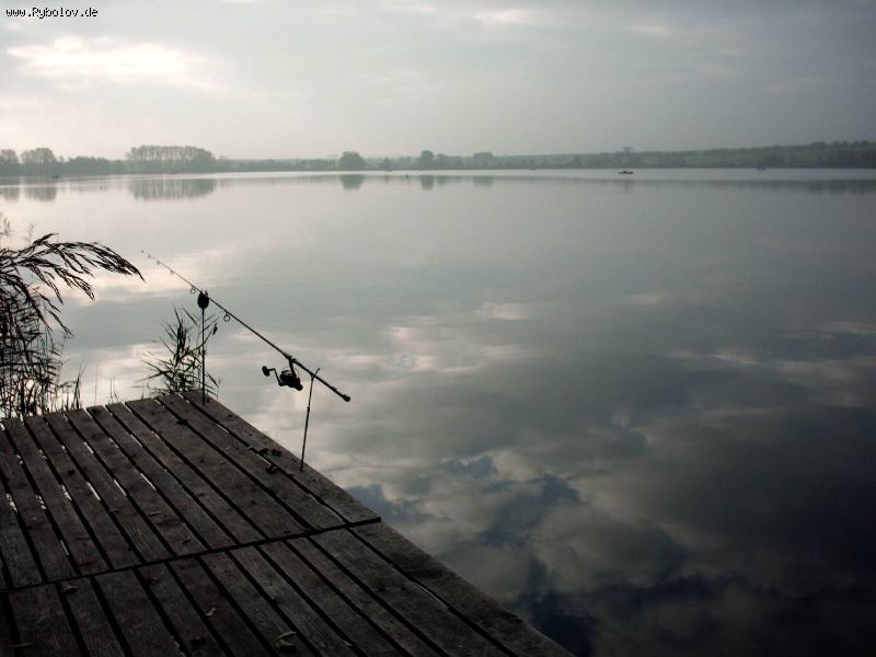 --����������� �������... - ������� (����������)