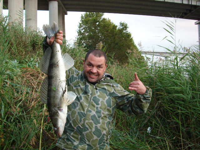 --vot  eto  sudachok -  ()