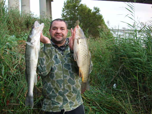 --sudak i karp -  ()