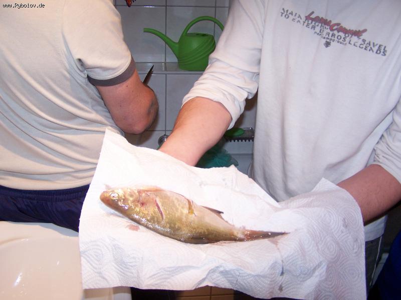 --���� ���� - ������� (����������)