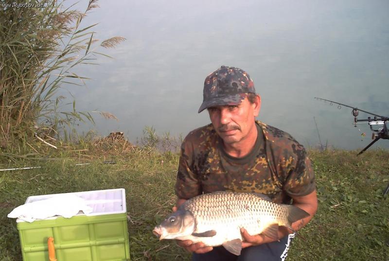 --�����.... - ������� (����������)