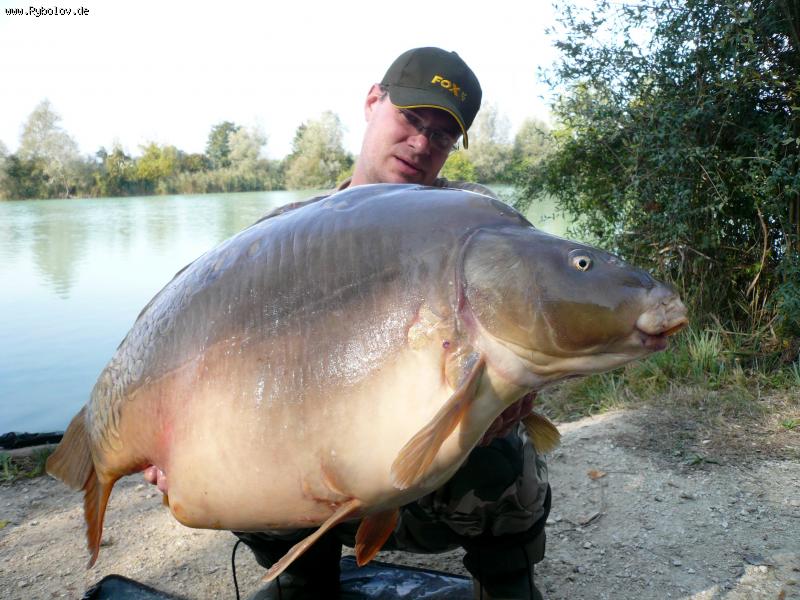 --���� 20 ��. - ������� (����������)