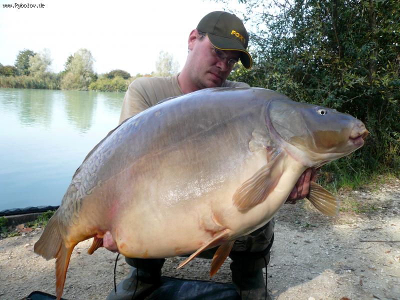 --Карп 20 кг. - рыбалка (фотоальбом)